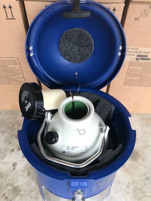 A blue storage container with an open lid shows a Chart/MVE MVE SC 4/2V or SC 4/3V vapor shipper protecting a white liquid nitrogen tank (holds 280 or 120 straws, three-year vacuum warranty) with foam padding; ideal for semen embryos shipping. Cardboard boxes are in back.