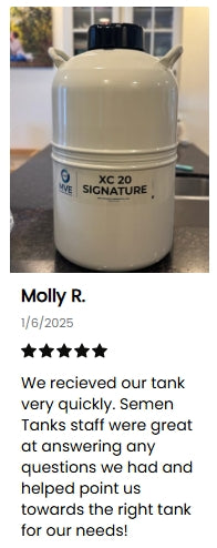 A Chart/MVE XC 20 Signature liquid nitrogen tank—the world’s best seller—rests on a kitchen counter. Below, Molly R. gives a five-star review, praising Semen Tanks’ fast delivery and helpful staff for all semen storage needs.