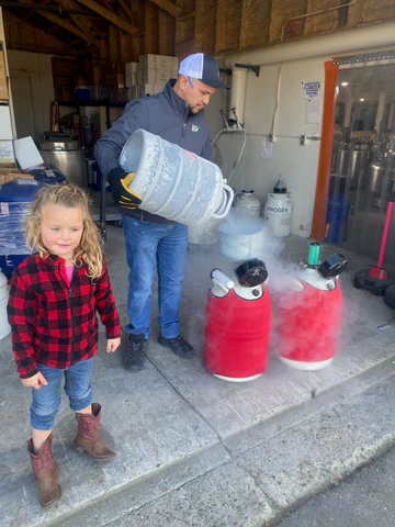 A man pours liquid from a Chart/MVE XC 20 Signature tank (holds 660 straws/20 weeks, 5-year vacuum warranty) into a steaming red container while a girl in plaid and cowboy boots stands nearby inside a barn-like building.