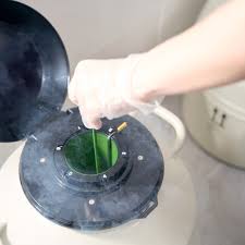 A gloved hand holds a straw-like container over the open MVE XC 34/18 Storage Tank by Chart/MVE, which can store 2,100 straws for 18 weeks and features a five-year vacuum warranty, as vapor rises from the tank.