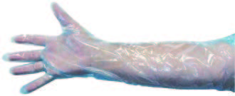 A person’s arm extended outward, covered with a transparent disposable glove that reaches the elbow—perfect for safely handling the RR AI Kit- With Electric Thaw Unit.