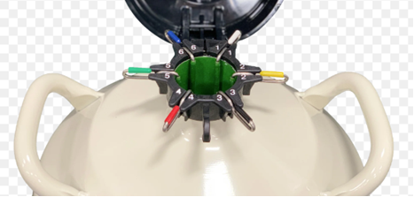 A close-up of a Semen Tanks cryogenic storage container with canisters featuring Colored Tabs for Canisters—Pkg of Six, six different colors included; ideal for organizing biological samples at low temperatures. Price includes shipping.