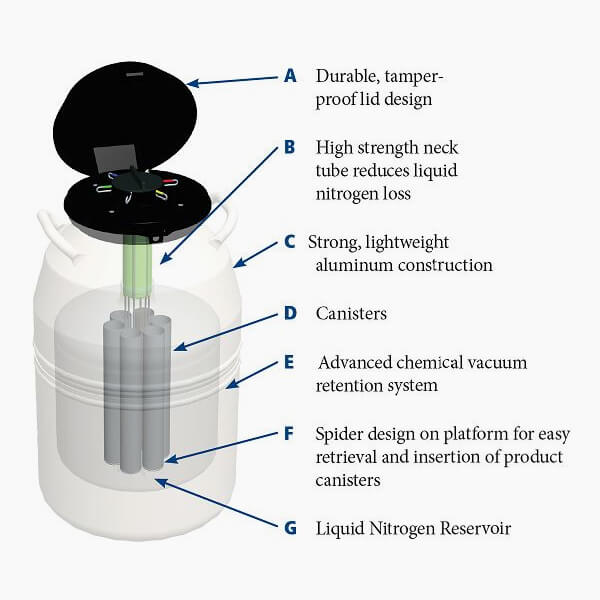 Diagram of the MVE XC 34/18 Storage Tank by Chart/MVE, showing labeled parts: tamper-proof lid, high-strength neck tube, aluminum canisters, vacuum system (low evaporation), spider platform, and reservoir. Holds 2100 straws for 18 weeks.