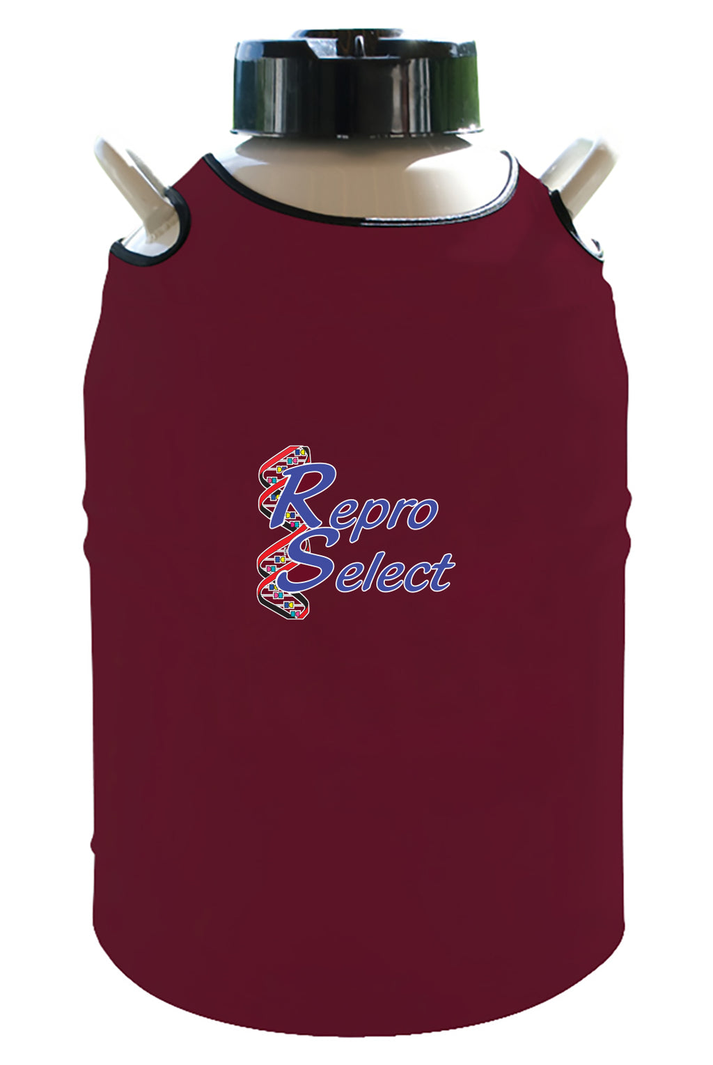 Repro Select Maroon Color Top