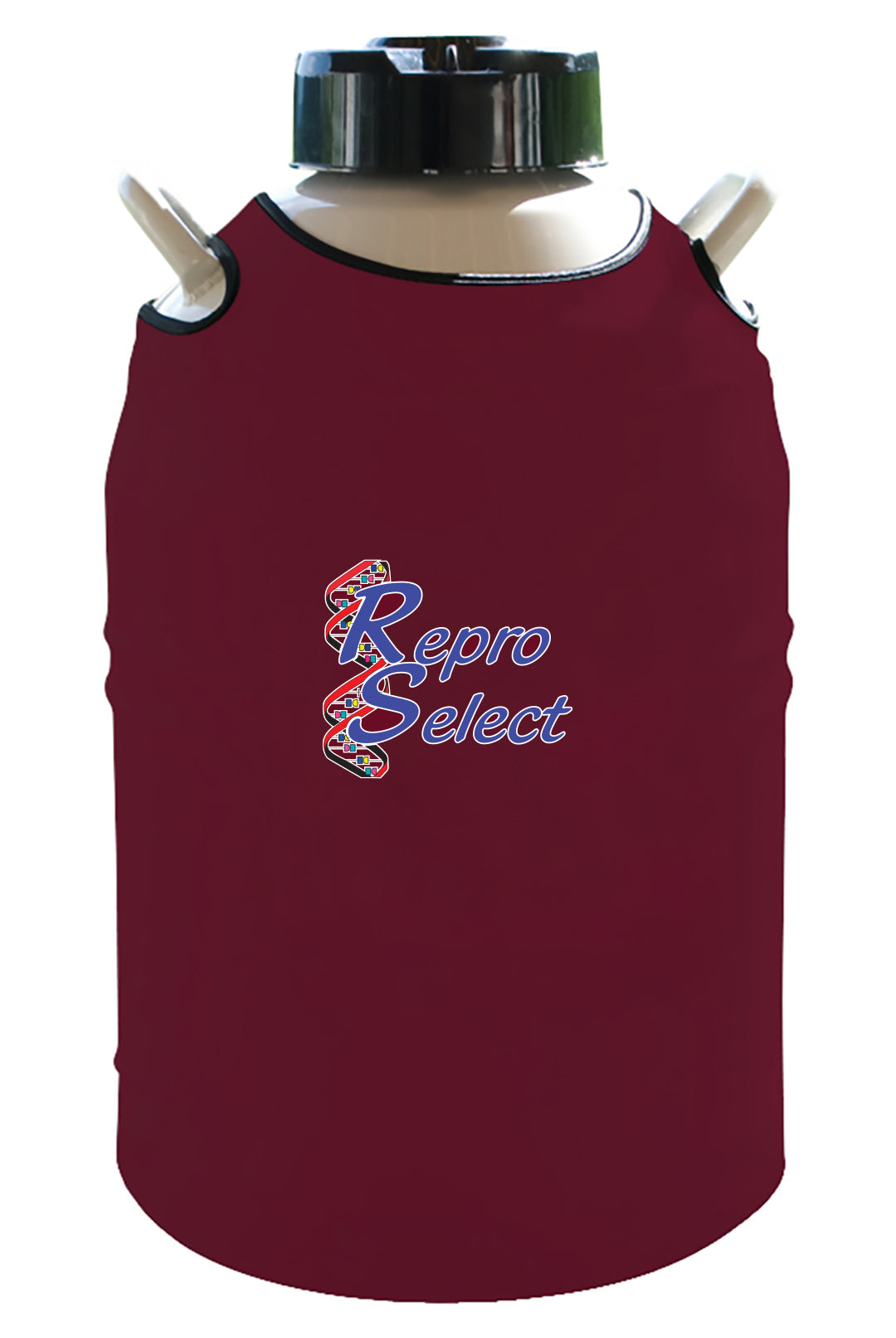 Repro Select Maroon Color Top